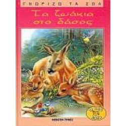 ΤΑ ΖΩΑΚΙΑ ΣΤΟ ΔΑΣΟΣ