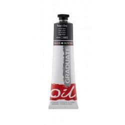 DALER ROWNEY GRADUATE OIL 38ML PAYNE`S GREY 065 DALER ROWNEY GRADUATE OIL 38ML PAYNE`S GREY 065