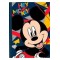 DIAKAKIS IMPORTS ΦΑΚΕΛΟΣ ΧΑΡΤΙΝΟΣ ΛΑΣΤΙΧΟ 25Χ35MICKEY
