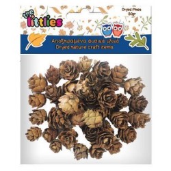 ΑΠΟΞΗΡΑΜΕΝΑ ΚΟΥΚΟΥΝΑΡΙΑ ΜΙΚΡΑ 20GR LUNA