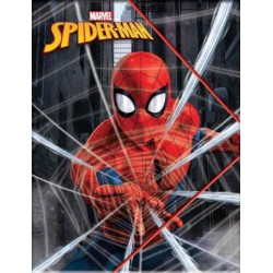 GIM NTOΣΙΕ ΛΑΣΤΙΧΟ ΡΡ Α4 SPIDERMAN