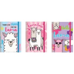 ΚΟΥΤΙ Α4 ΜΕ ΛΑΣΤΙΧΟ - HELLO LAMA