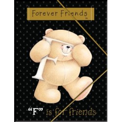 BMU ΦΑΚΕΛΟΣ ΜΕ ΛΑΣΤΙΧΟ A4 - FOREVER FRIENDS