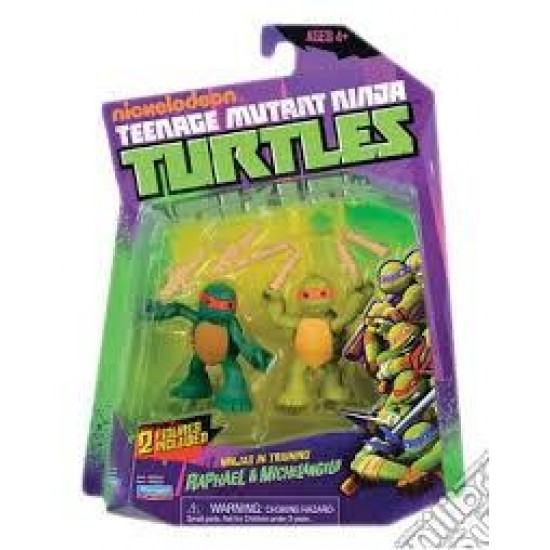 Teenage Mutant Ninja Turtles - Personaggi Ninja In Training