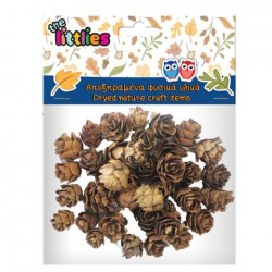 ΑΠΟΞΗΡΑΜΕΝΑ ΚΟΥΚΟΥΝΑΡΙΑ ΜΙΚΡΑ 20gr THE LITTLIES