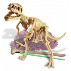 ΑΝΑΣΚΑΦΗ ΤΥΡΑΝΝΟΣΑΥΡΟΣ REX