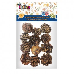 ΑΠΟΞΗΡΑΜΕΝΑ ΚΟΥΚΟΥΝΑΡΙΑ ΧΕΙΡΟΤΕΧΝΙΑΣ THE LITTLIES 12ΤΜΧ.