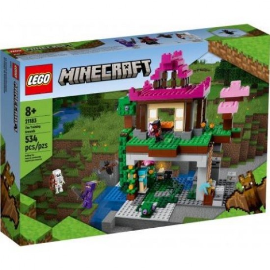21183 21183 tbd Minecraft Dojo Cave 2022 V29