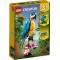 LEGO CREATOR 3 IN 1 EXOTIC PARROT 31136