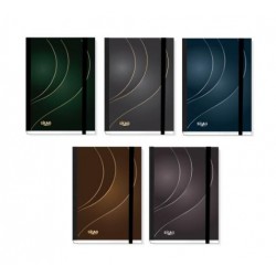 SKAG ΑΚΑΔΗΜΑΪΚΟ ΗΜΕΡΟΛΟΓΙΟ 14X21 FLEX GOLD & SILVER